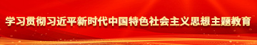 插逼操穴学习贯彻习近平新时代中国特色社会主义思想主题教育